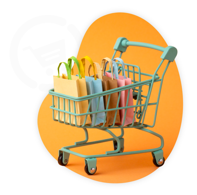 Recover abandoned carts | Netcash Shop